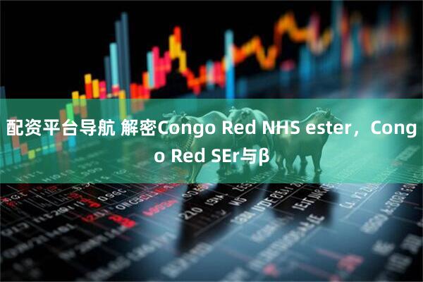 配资平台导航 解密Congo Red NHS ester，Congo Red SEr与β