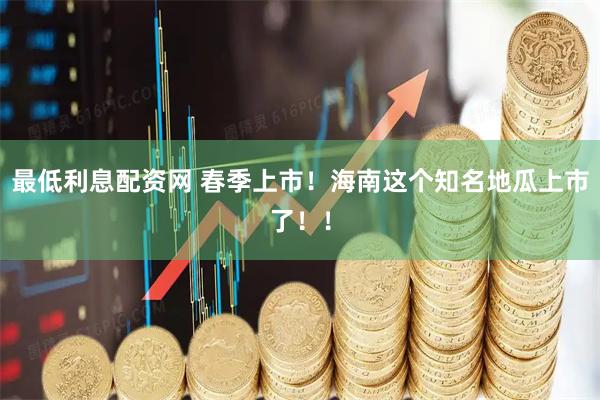 最低利息配资网 春季上市！海南这个知名地瓜上市了！！